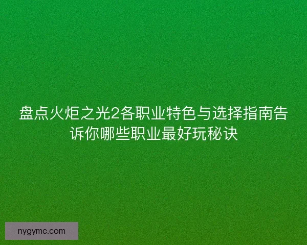 盘点火炬之光2各职业特色与选择指南告诉你哪些职业最好玩秘诀