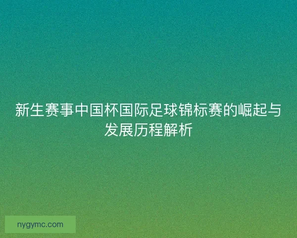 新生赛事中国杯国际足球锦标赛的崛起与发展历程解析